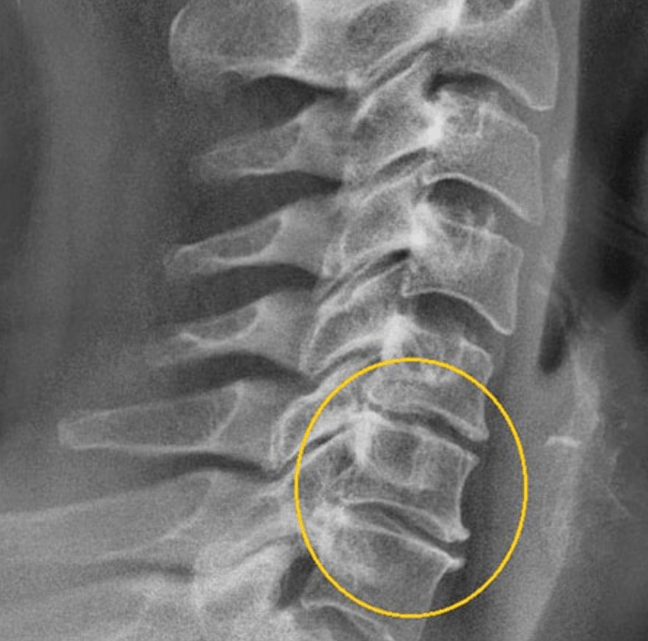 Diagnostikas attēls